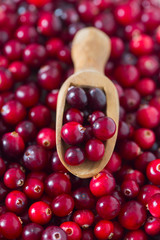 Poster - fresh cranberries on white wooden surface