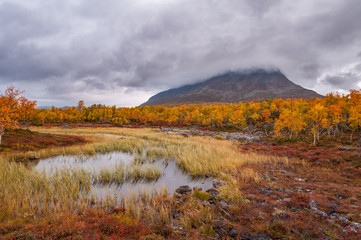 Foggy hill in autumn colors