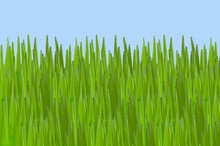 Surreal Cartoon Grass And Sky Landscape