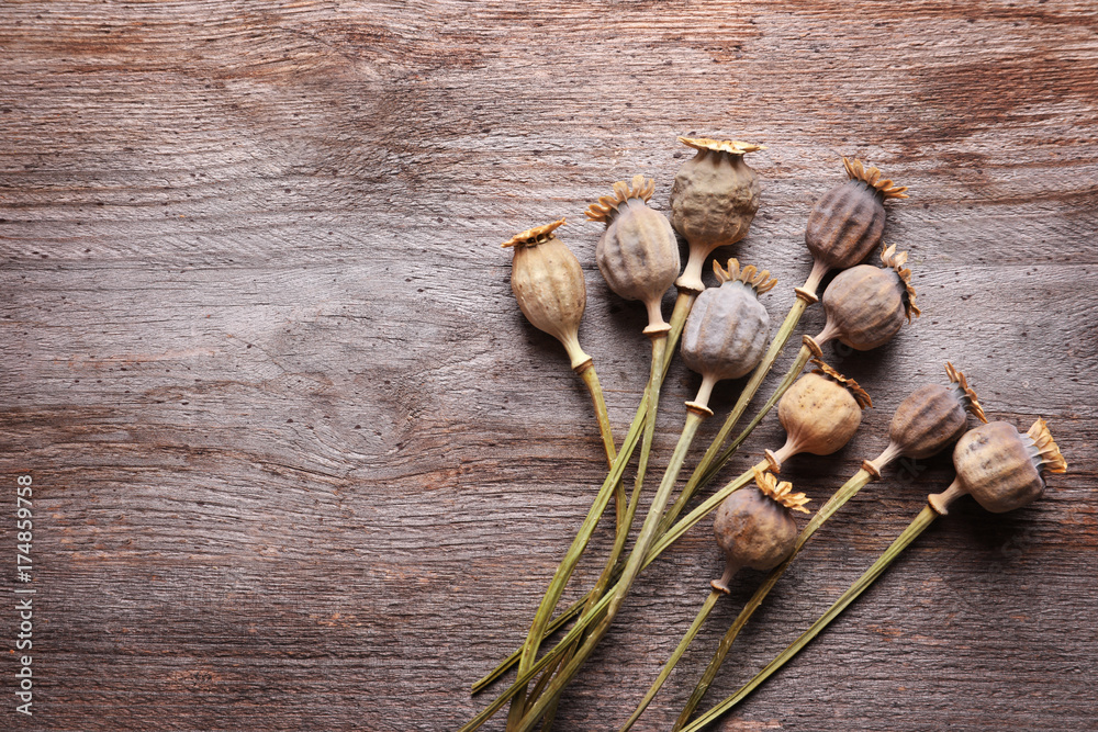 Dried poppy heads on wooden table