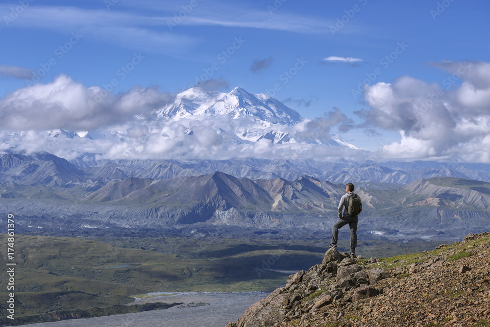 Denali (Mount McKinley) national park, Alaska, United States - obrazy, fototapety, plakaty 