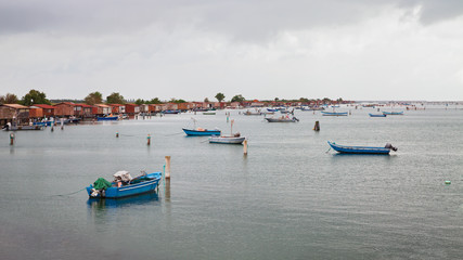 Sacca di Scardovari, Porto Tolle, Veneto, Italy: landscape in the Po Delta Park