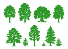Silhouettes Of Trees - Vector Drawing