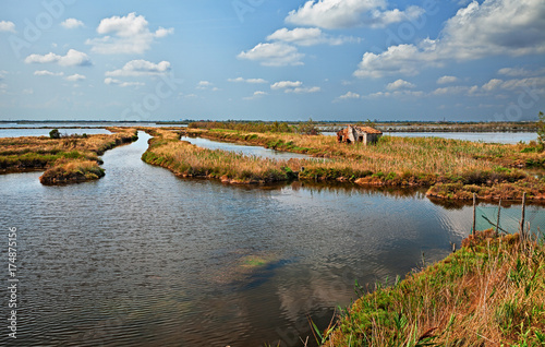 Fotomural landscape of the Po Delta Park in Rosolina, Veneto, Italy