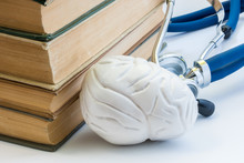 Photo Study Of Brain, Mental Health, Anatomy, Structure, Function In Medicine School, College, University. Model Of Brain Is Located Next To Pile Of Medical Books Against Backdrop Of Stethoscope