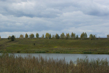 Autumn the nature on the bank of a pond 2