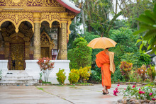Monk With An Umbrella On A City Street, Louangphabang, Laos. Copy Space For Text.