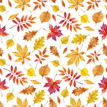 Watercolor Autumn Leaves Vector Pattern