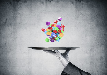 Wall Mural - Hand of waiter presenting cubes on tray.