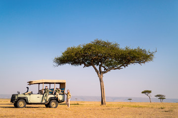 Wall Mural - family safari