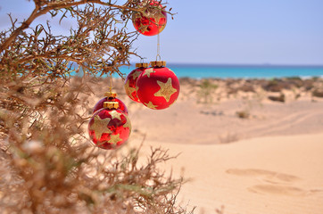 christmas ball on the beach