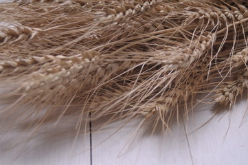 Ripe wheat bran on the table