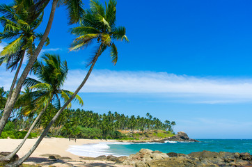 Tropical beach in Sri Lanka