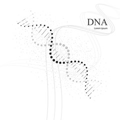 Poster - DNA molecules. Vector illustration isolated on white background