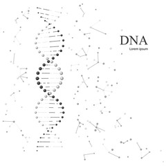Poster - DNA molecules. Vector illustration isolated on white background
