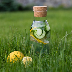 Wall Mural - Summer fresh lemonade from lemons, mint and cucumber. Detox Water