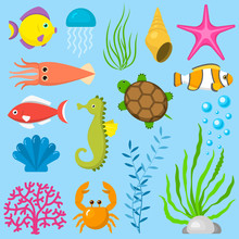 Set Aquatic Funny Sea Animals Underwater Creatures Cartoon Characters Shell Aquarium Sealife Vector Illustration.