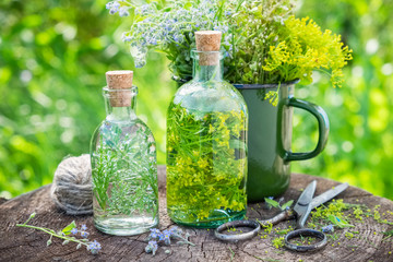 Wall Mural - bottles of tincture or infusion of healing herbs, medicinal herbs in green enameled mug on old stump