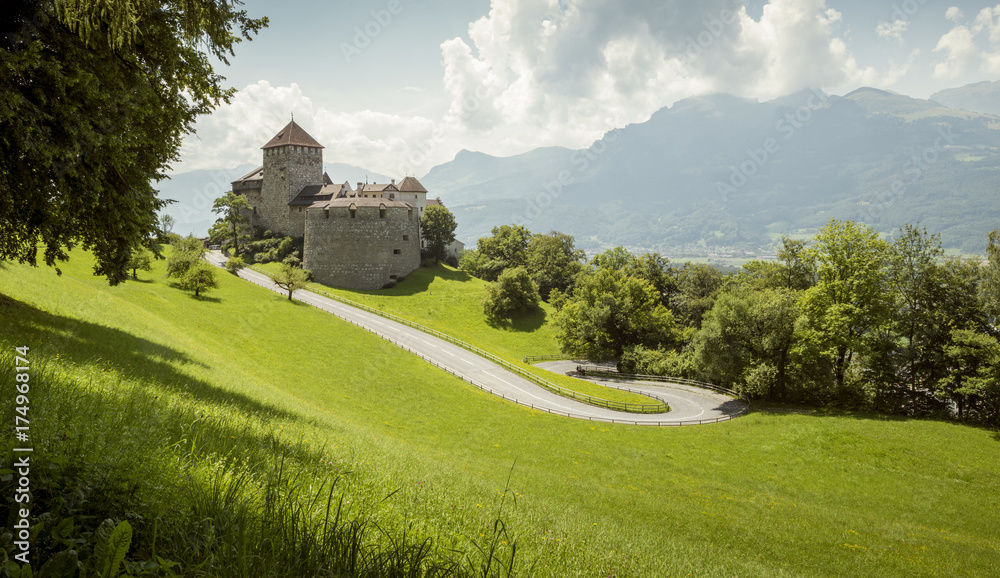 Obraz na płótnie Royal castle in Vaduz, Liechtenstein w salonie