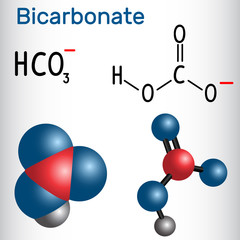 Sticker - Bicarbonate anion ( HCO3 ) - structural chemical formula and molecule model.