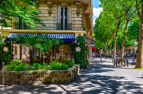 Fotomural Boulevard Saint-Germain in Paris, France