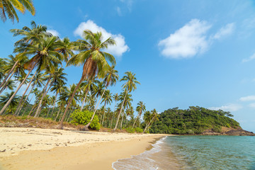 Wall Mural - Palm trees on beautiful tropical beach on Koh Chang island in Thailand