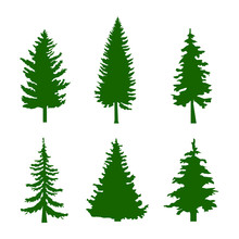 Set Of Green Silhouettes Of Pine Trees On White Background Vector Illustration