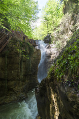 Canvas Print - Samandere Waterfall in Duzce