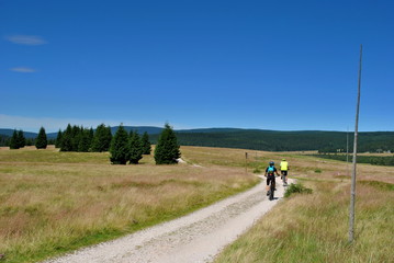 Sticker - Turystyka rowerowa