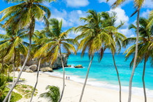 Bottom Bay, Barbados - Paradise Beach On The Caribbean Island Of Barbados. Tropical Coast With Palms Hanging Over Turquoise Sea. Panoramic Photo Of Beautiful Landscape.