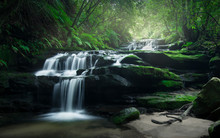 Smooth Flowing Water Over Rocks Of Leura Cascades In The Lush Rainforest Of Blue Mountains, Australia. 