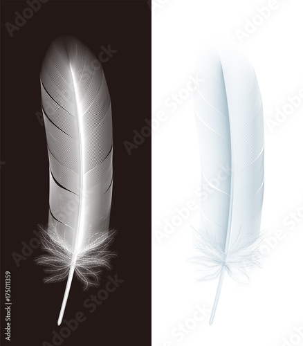 鳥の羽根 Buy This Stock Vector And Explore Similar Vectors At 鳥の羽根 Buy This Stock Vector And Explore Similar Vectors At