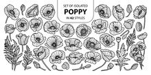 Set Of Isolated Poppy In 42 Styles. Cute Hand Drawn Vector Illustration In Black Outline And White Plane.