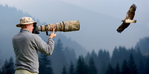 Wall Mural - Professional wildlife photographer