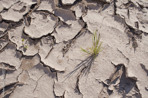 Erde mit Gras Klimawandel Erderwärmung