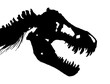 Skeleton of Tyrannosaurus rex ( T-rex ) ( Skull and Neck ) . Vector