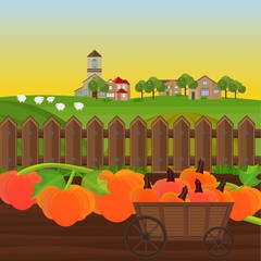 Wall Mural - Pumpkin harvest in a cart garden Vector. Countryside backgrounds illustrations