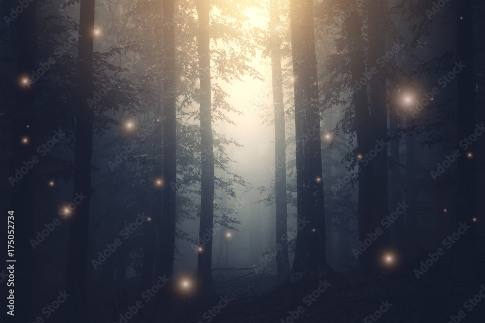 magical forest with sparkles at sunset - obrazy, fototapety, plakaty 