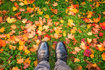 Wall Mural - Looking down at shoes, colorful autumnal leaves on the ground , autumn concept