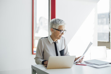 Wall Mural - Portrait of Business Woman 