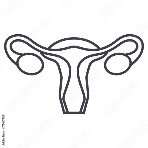 uterus,female gynecology vector line icon, sign, illustration on white ...