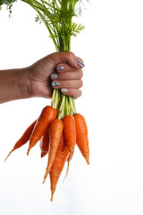 fresh carrots in the hand of the girl on a white background