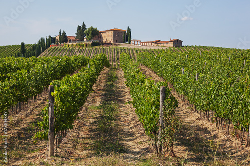 Fotomural Traditional Tuscany wine farm is surrounded by vineyards in the Chianti region,