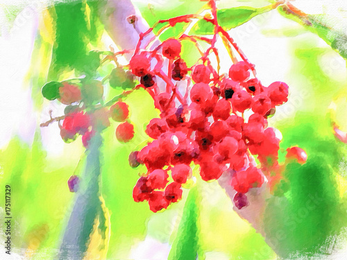 Zdjęcie XXL Obraz olejny w stylu impresjonizmu; Małe czerwone owoce na wiosnę