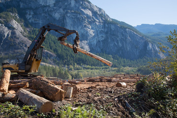 Heavy duty machine industrial forestry logger mountain landscape sunny day 