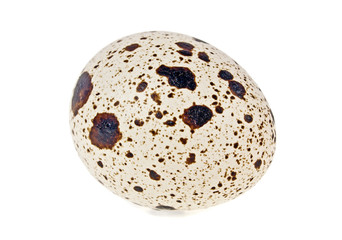 Quail egg on a white background