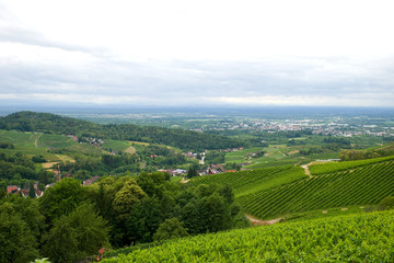 Wall Mural - Sasbachwalden - Schwarzwald