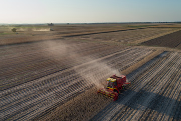 Soybean harvest shoot from drone