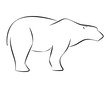 Black line bear on white background. Hand drawing vector graphic.