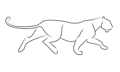 Wall Mural - Running black line leopard on white background. Hand drawing vector graphic panther.